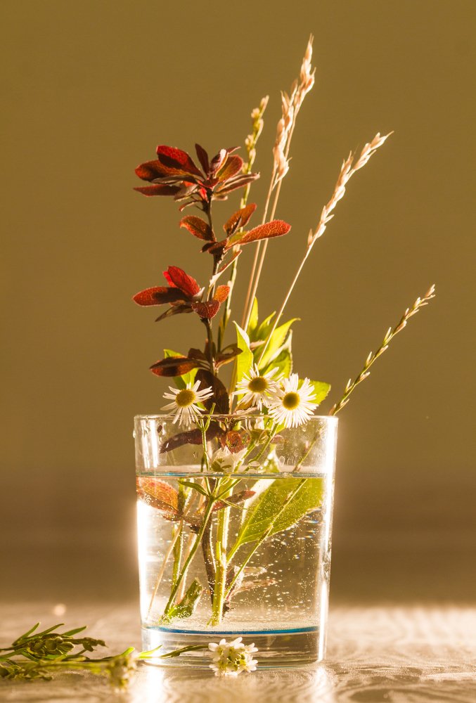 Photograph by Анна Малютина