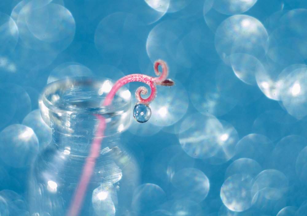 Photograph by Анна Малютина