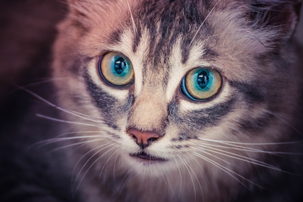 Photograph by fazly fazly shah