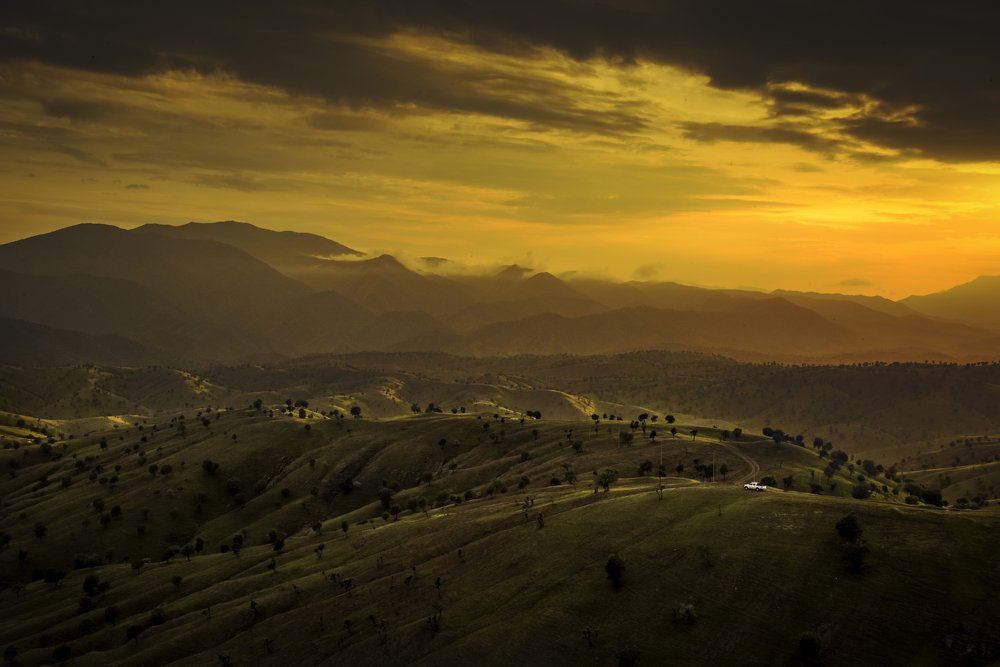 Photograph by Aram Rustayi