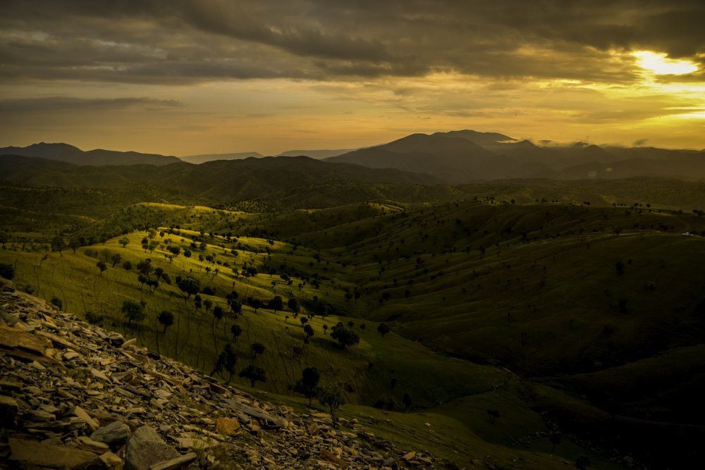 Photograph by Aram Rustayi