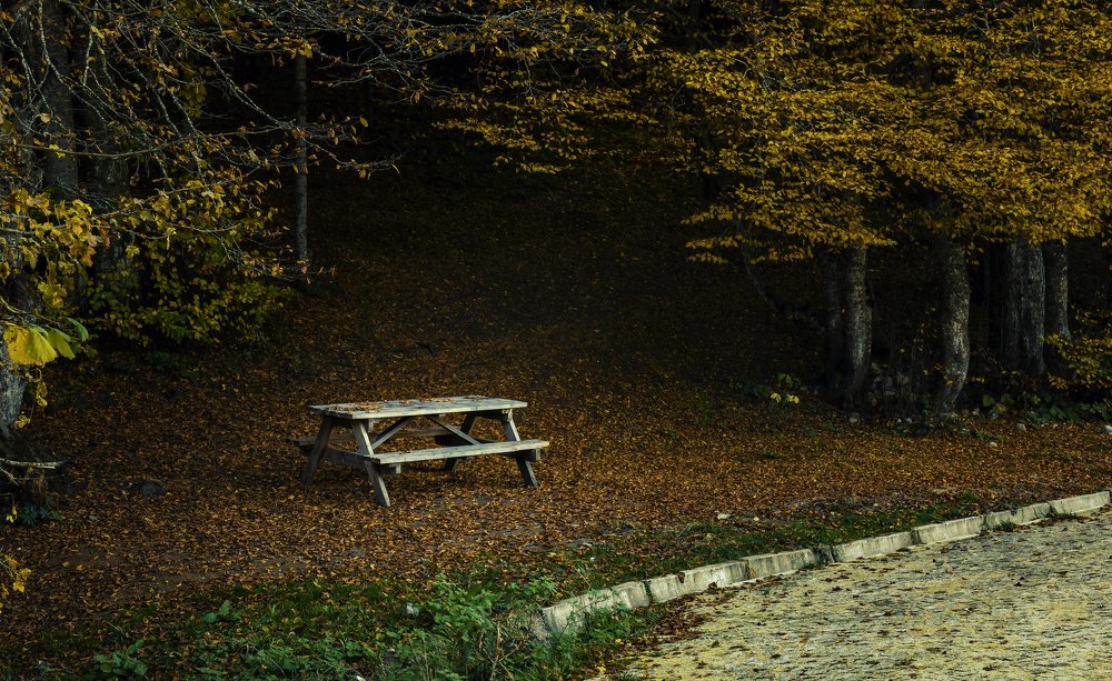 Photograph by Aram Rustayi