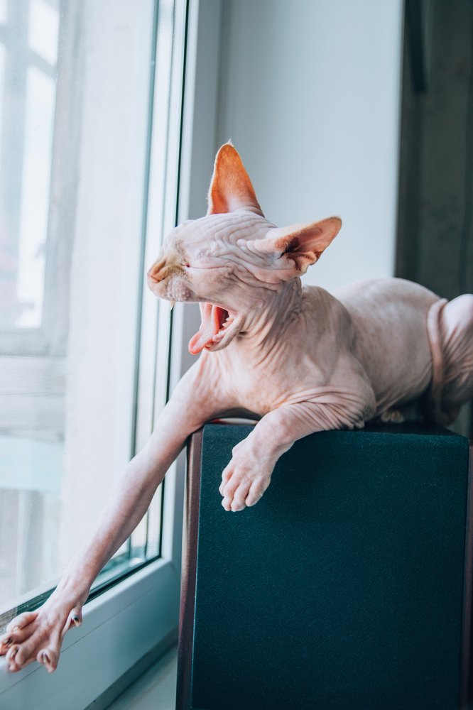 Photograph by Юля Курдова