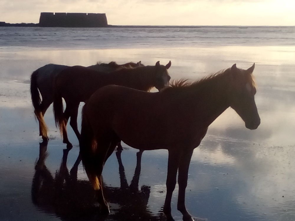 Photograph by Krishna Jagtap