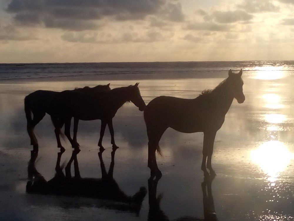 Photograph by Krishna Jagtap