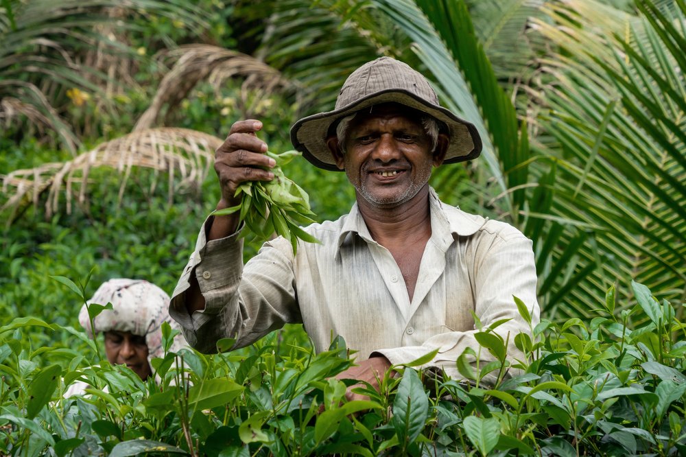 Photograph by Дарья Павликова