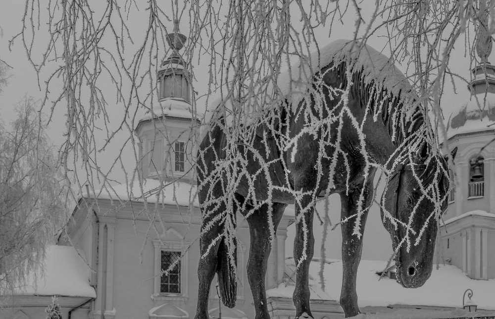 Когда кровь стынет в жилах