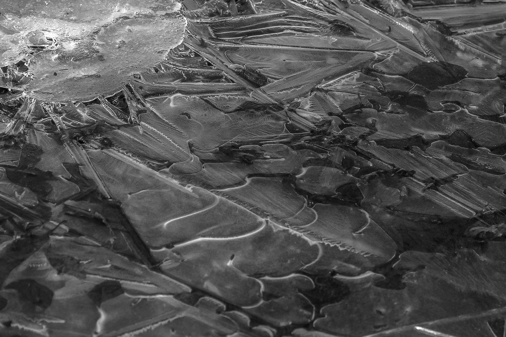 Ледяной мир