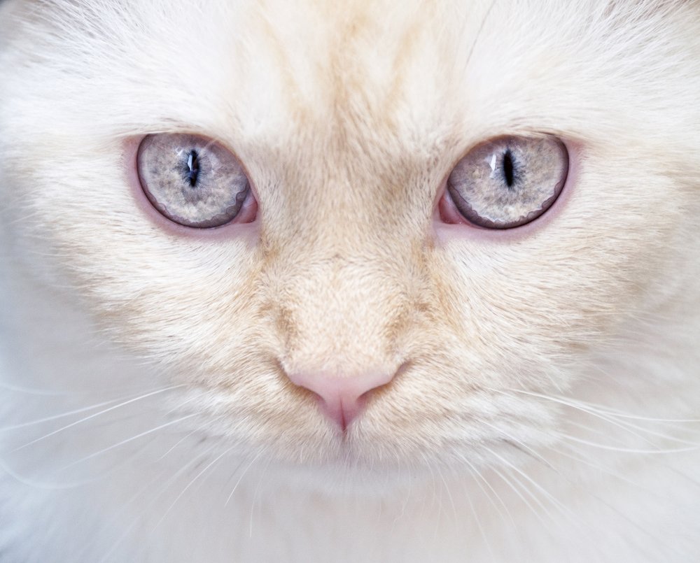 Photograph by Полина Хрол