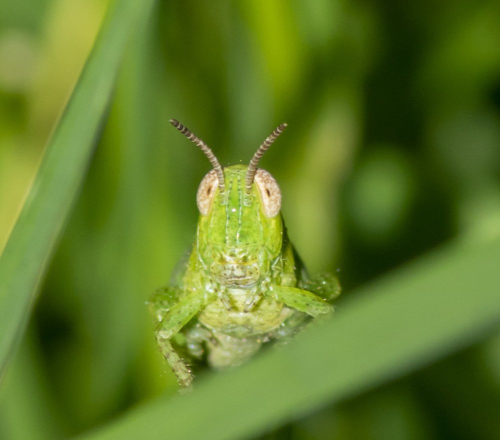 Photograph by Станимир Каменов