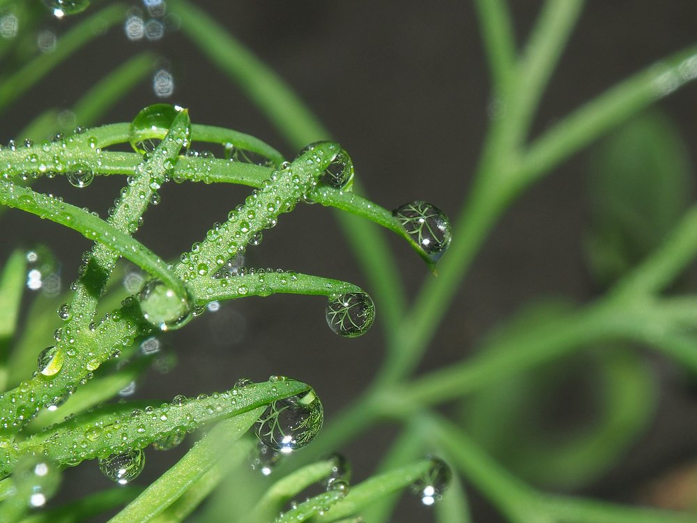 Мир в каплях