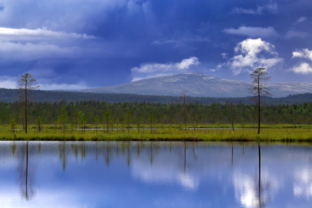 Photograph by Ангелина Ильичева