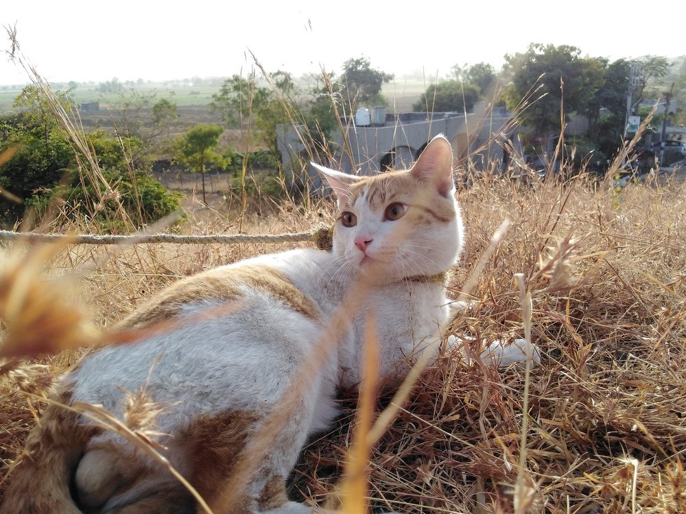 Photograph by Rubina Hasan