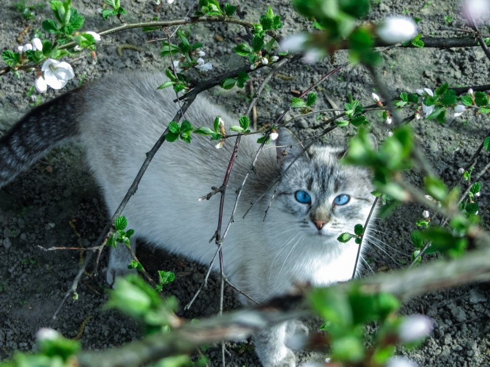 Photograph by Андрей