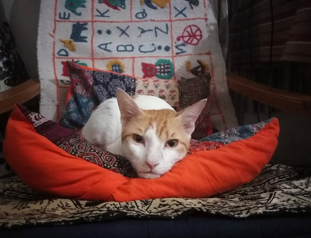 Photograph by Rubina Hasan