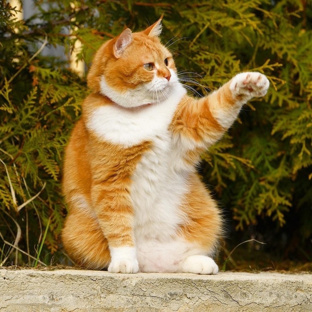 Photograph by Вячеслав Розмин