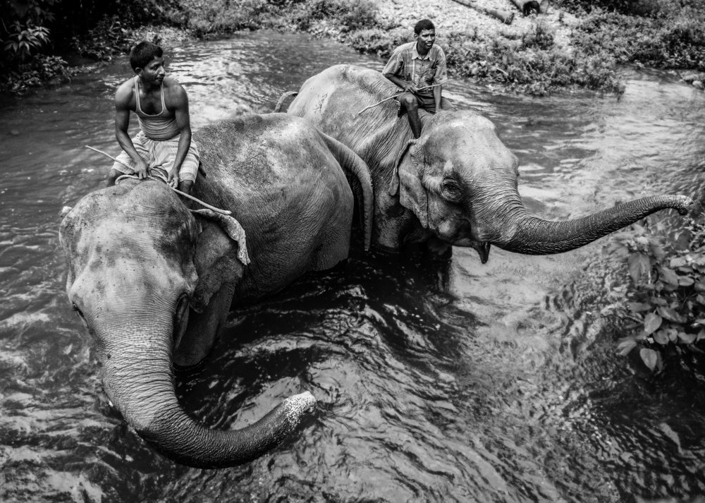 Photograph by sayantani basu