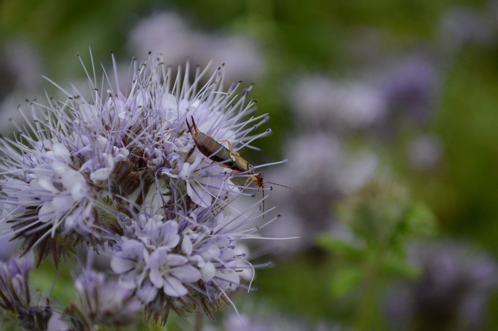 Photograph by Elena MITROFANOVA