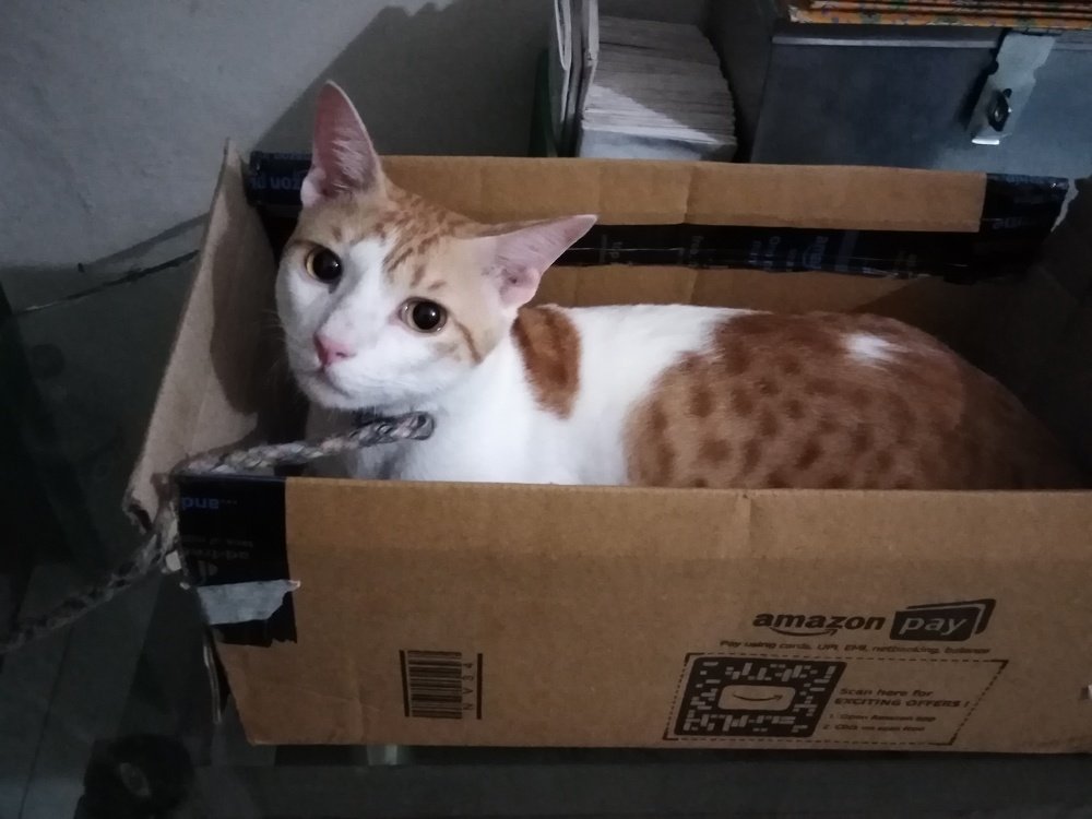 Photograph by Rubina Hasan