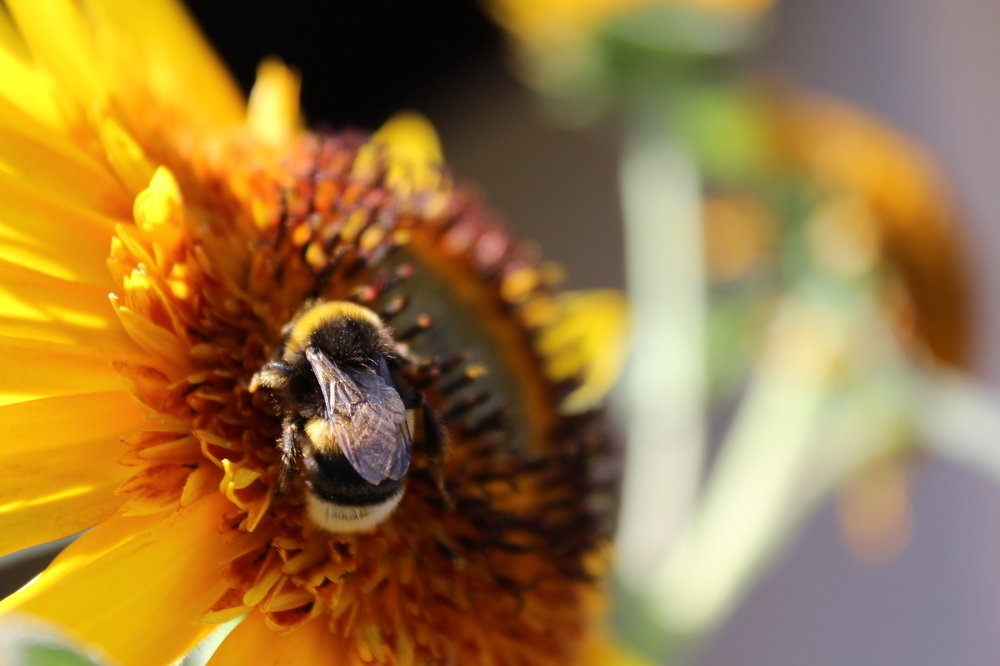 Photograph by Teodora Codreanu