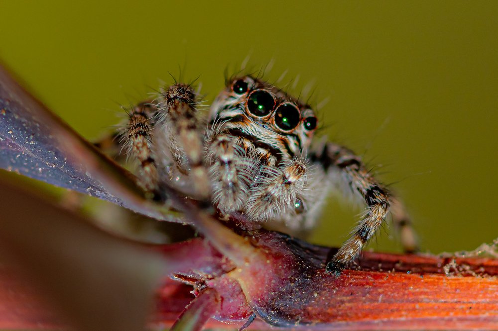 Photograph by Vahid Yavari