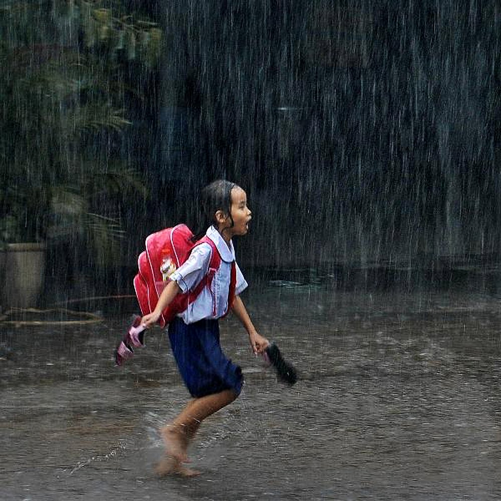FIELDS AND IN THE RAIN