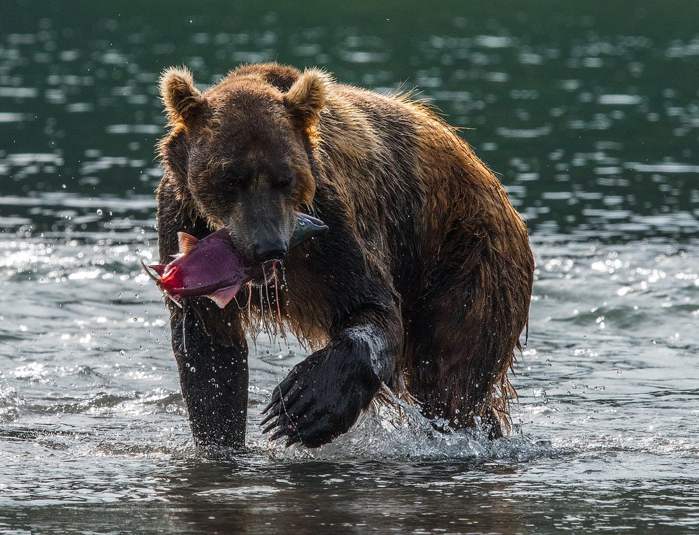 Photograph by Vladimir Kushnarev