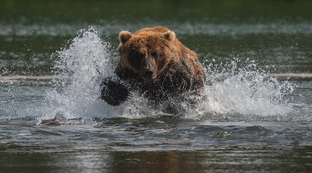 Photograph by Vladimir Kushnarev