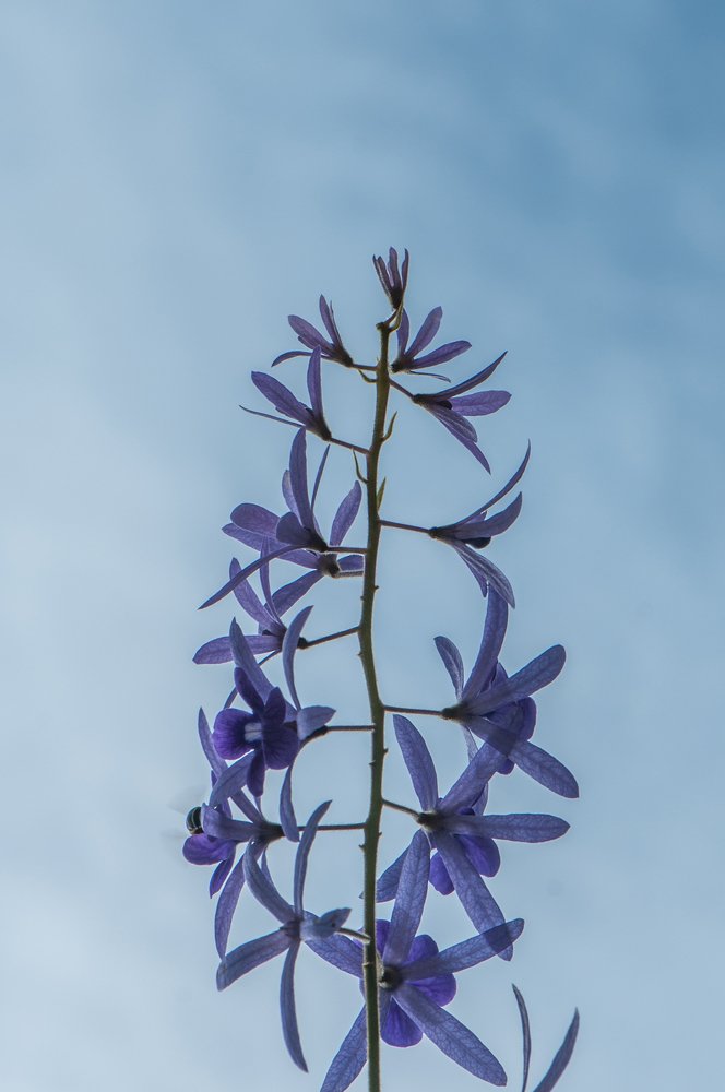 Photograph by Chamara Sulakkhana Polwatta Siriyalage