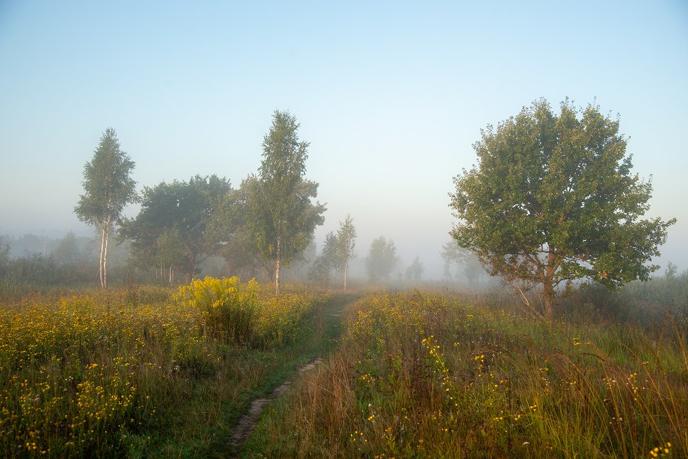 Photograph by Константин Усов