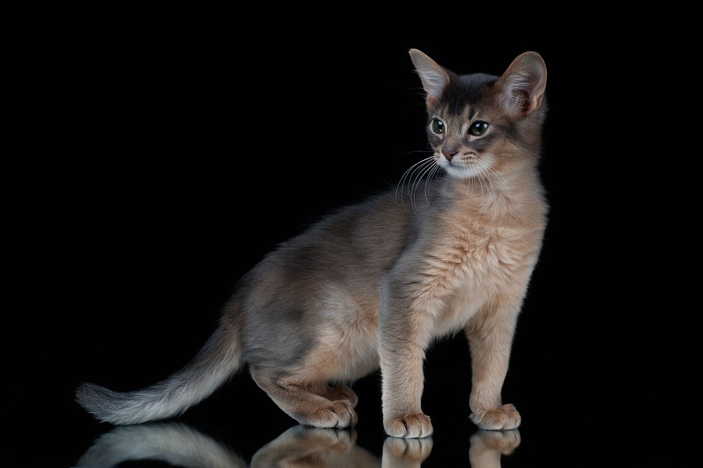 Photograph by Светлана Писарева