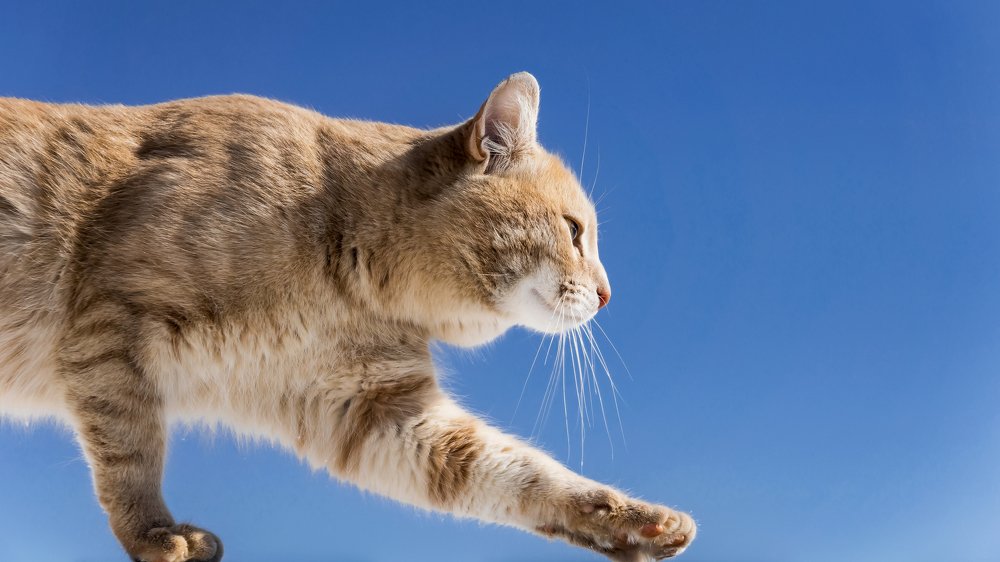 Photograph by KirillK