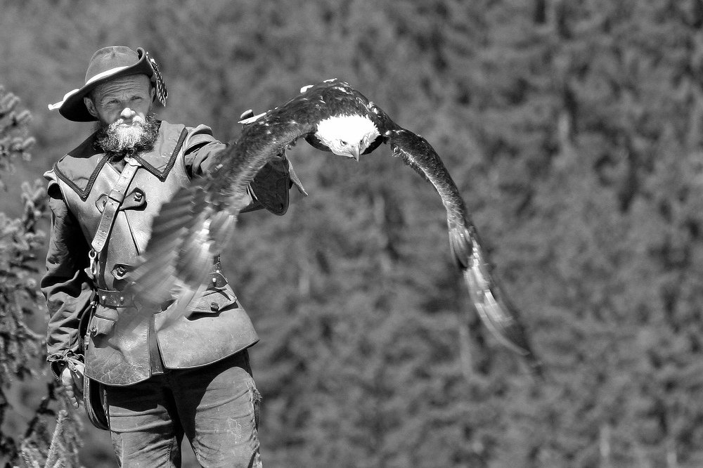 Чувство Свободы. Sense of Freedom.