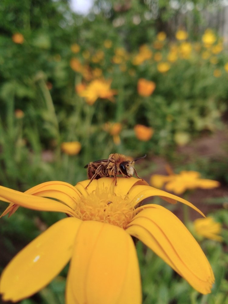 Photograph by Дмитрий Нестерович