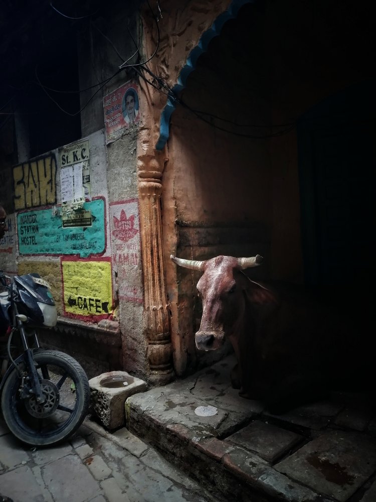 Photograph by DHIRAJ GOSWAMI