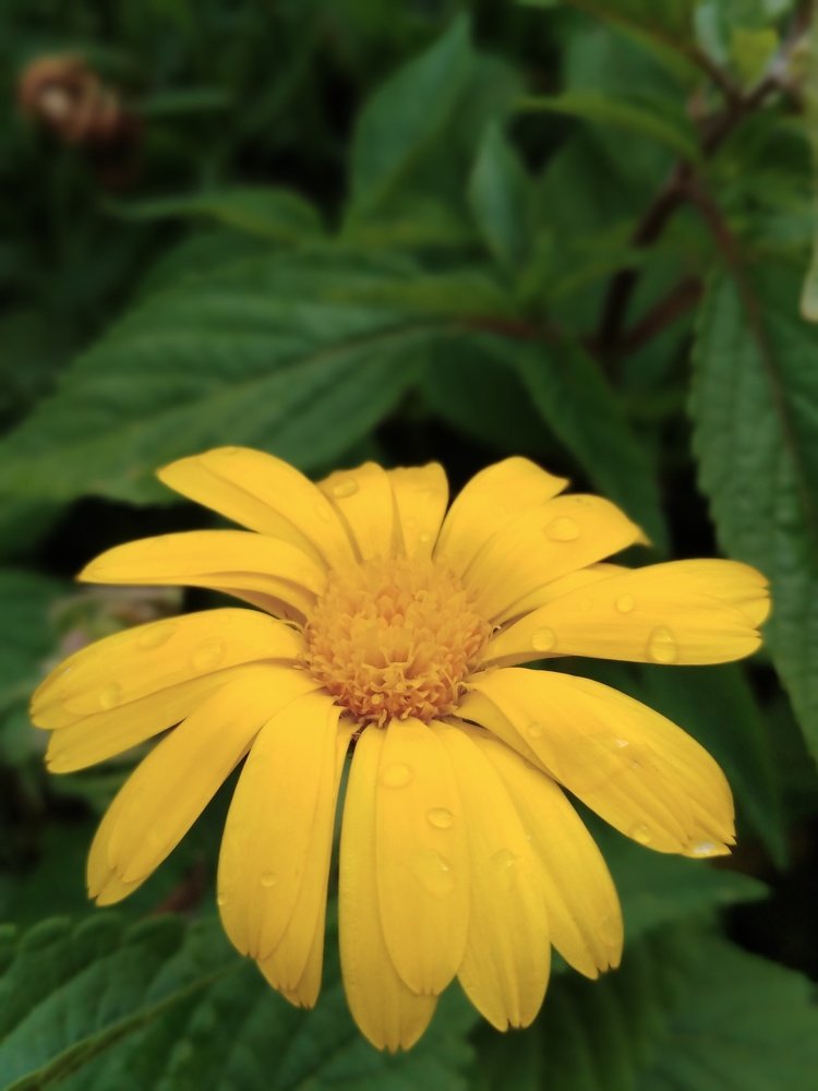 Photograph by Дмитрий Нестерович