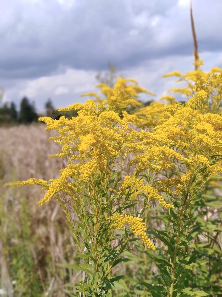 Photograph by Дмитрий Нестерович