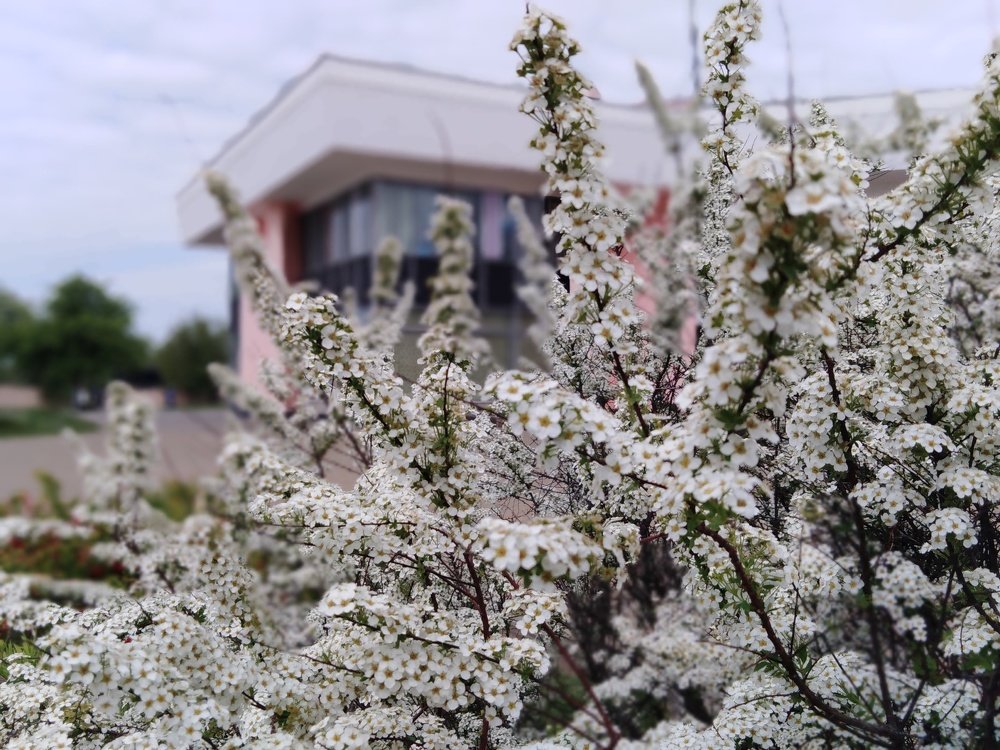 Photograph by Дмитрий Нестерович