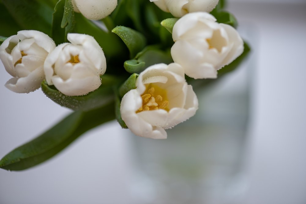 Photograph by Кадырова Марина