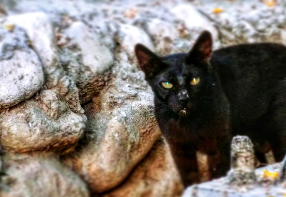 Photograph by Inga Vasilyeva