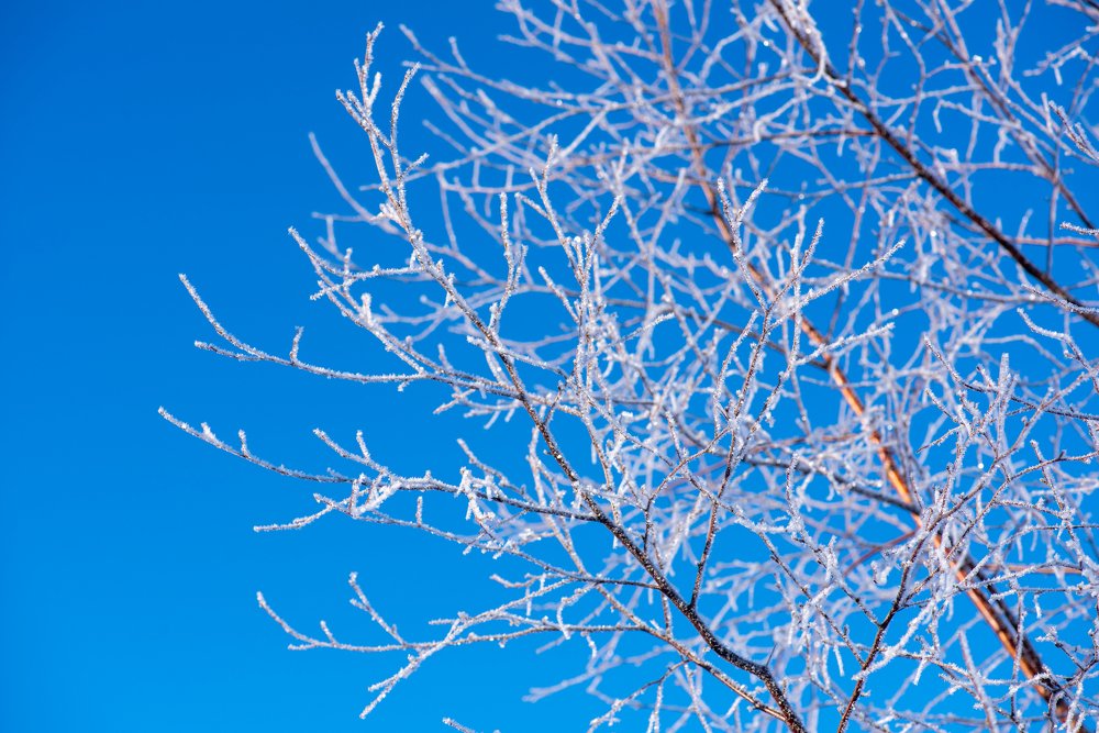 Photograph by Кадырова Марина