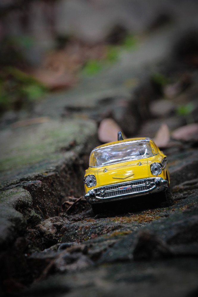 Photograph by Gazi Ishmam Hasan