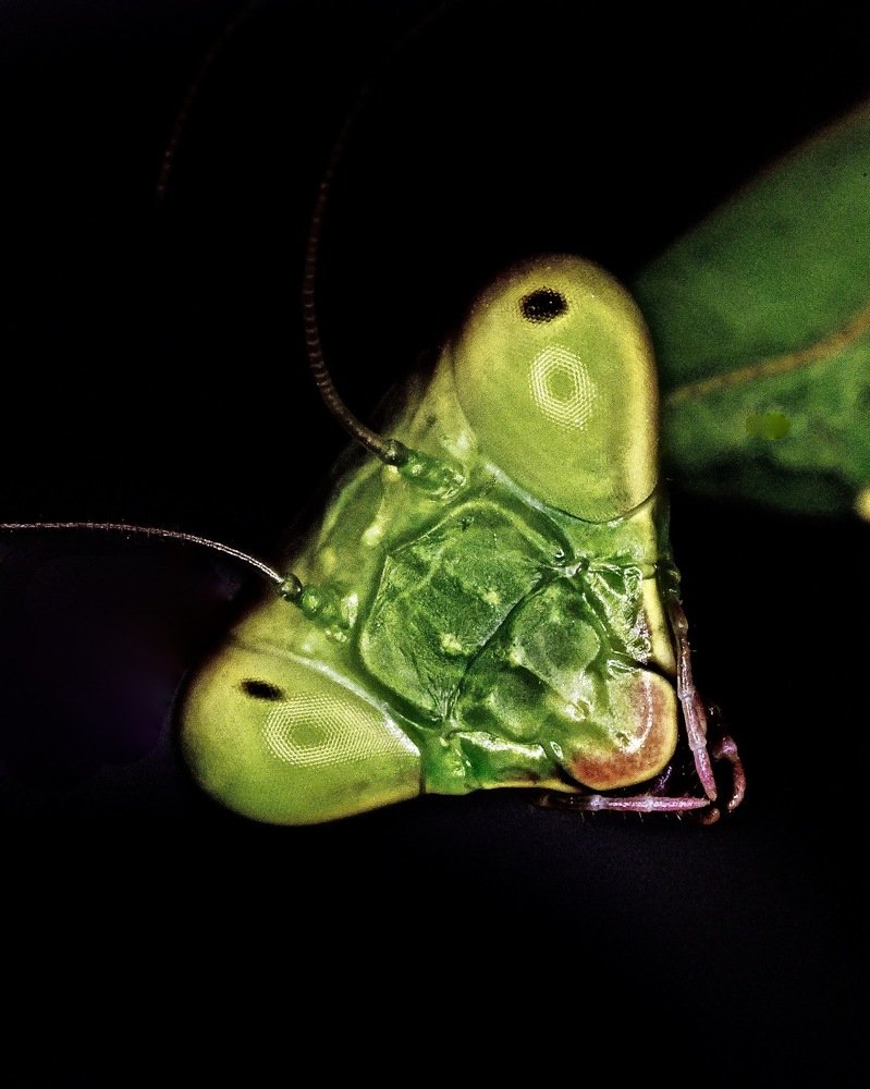 Photograph by Sharel Albor