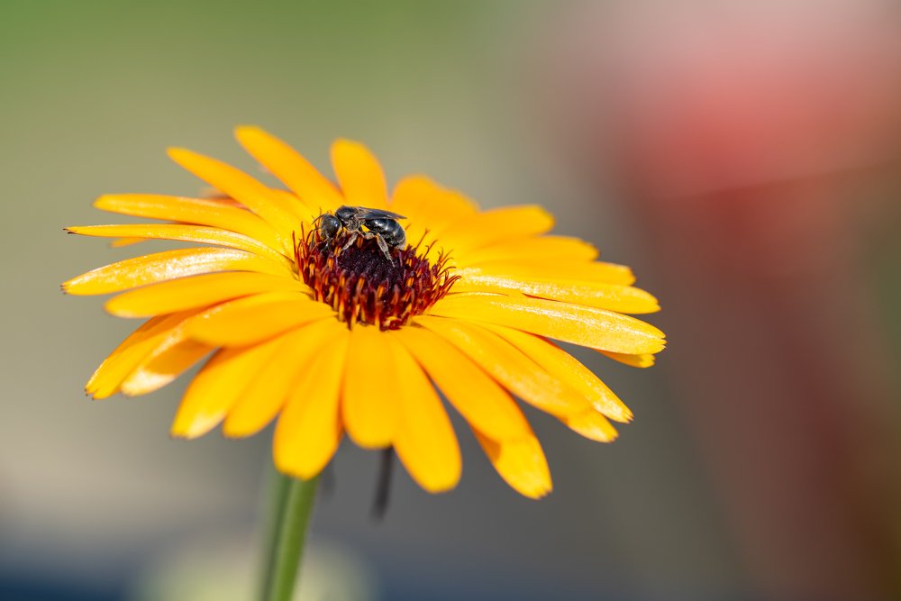 Photograph by Кадырова Марина