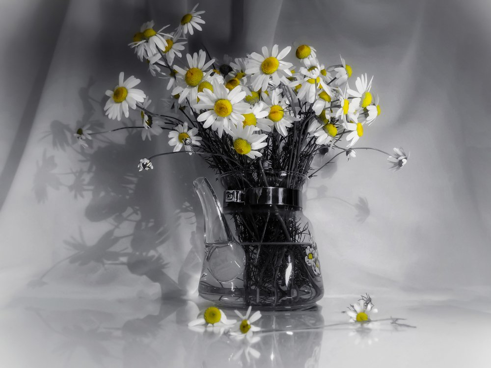 Photograph by Светлана Лехмус