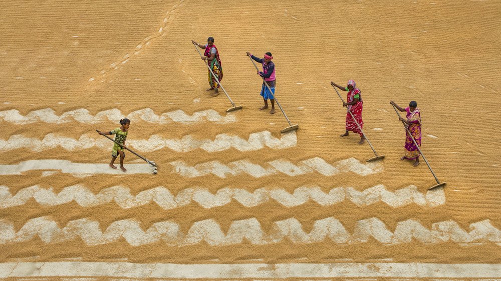 Photograph by somnath pal