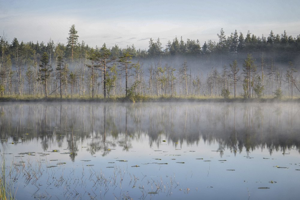 Photograph by Зенченко Александр