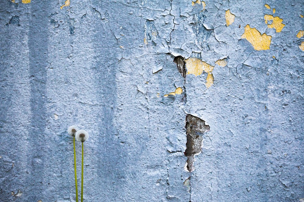 Photograph by Андрей Кульков