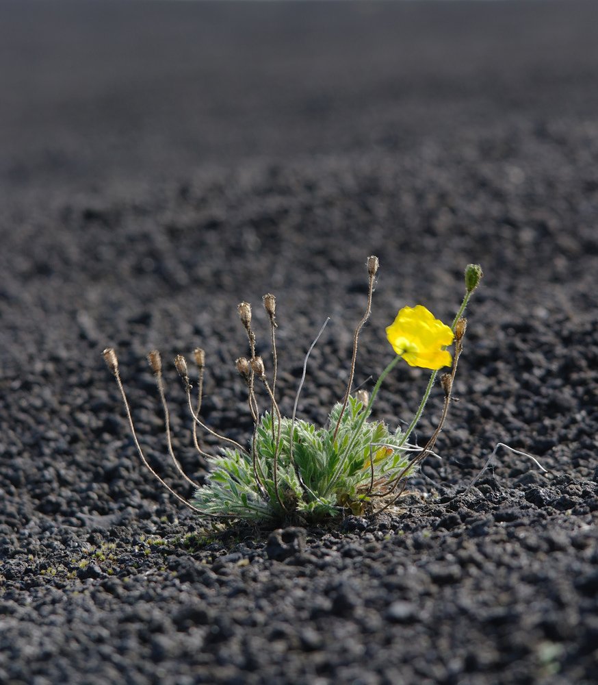 Photograph by Дмитрий Ткаченко