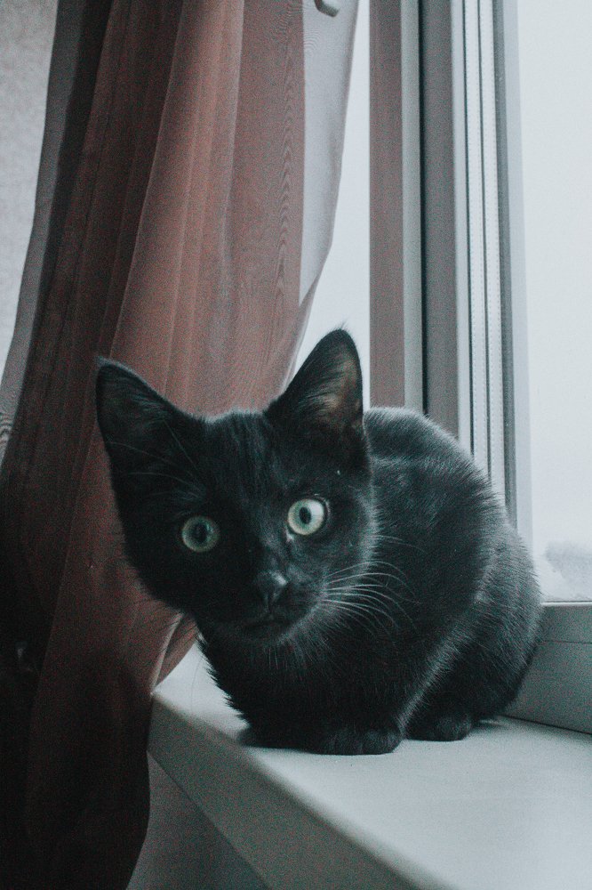 Photograph by Евгения Жилинская